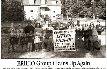 brillo50.jpg